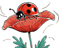 Audrey voyance coccinelle porte bonheur Audrey voyance coccinelle porte bonheur